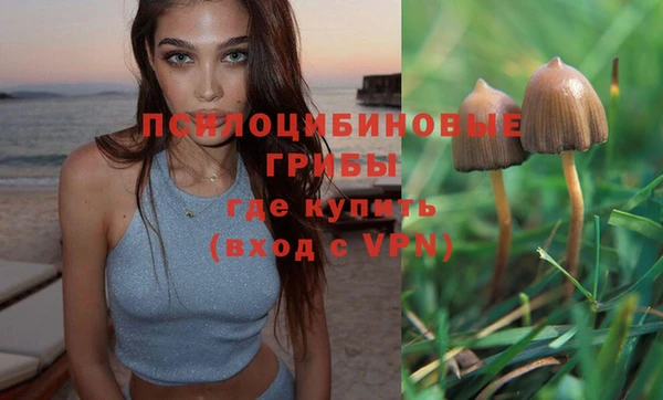винт Володарск