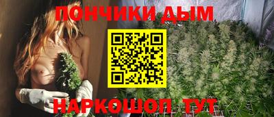 сатива Гатчина