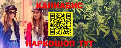 сатива Гатчина