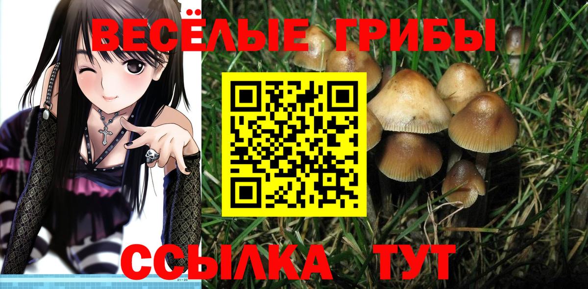 Псилоцибиновые грибы мухоморы  Вход с VPN  Галлюциногенные грибы Cubensis  Нерюнгри 