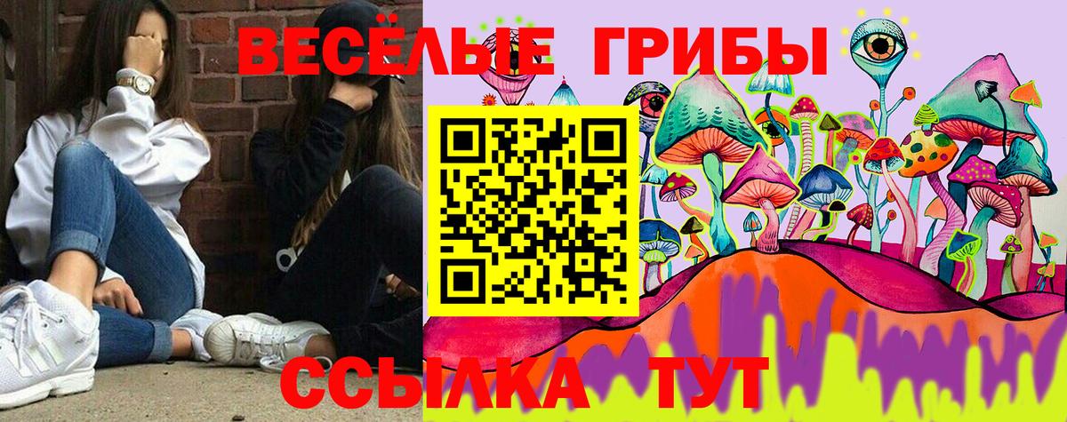 Галлюциногенные грибы Psilocybine cubensis Нерюнгри